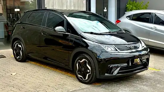 Foto de um byd dolphin