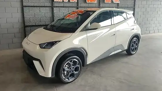 Foto de um byd dolphin mini