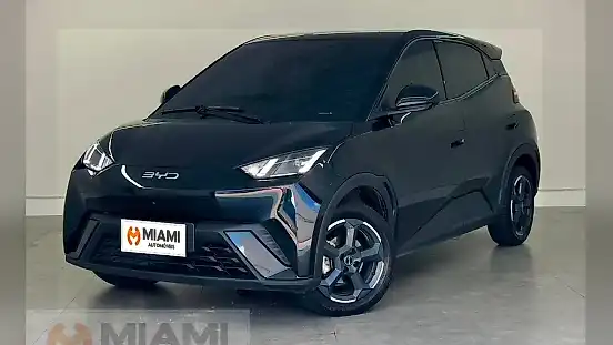 Foto de um byd dolphin mini