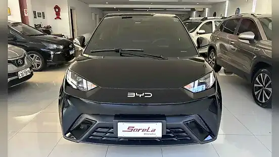 Foto de um byd dolphin mini