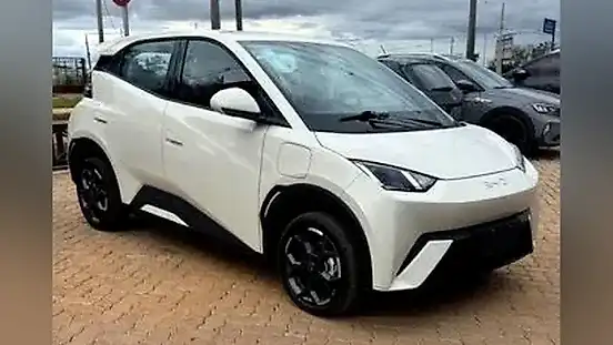 Foto de um byd dolphin mini