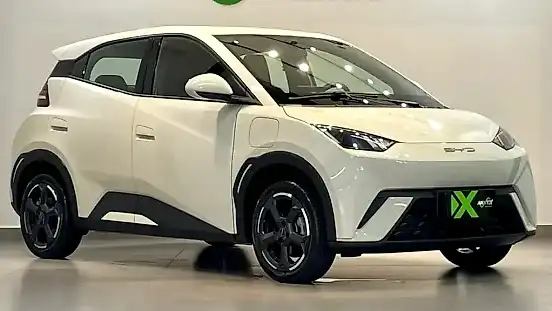 Foto de um byd dolphin mini