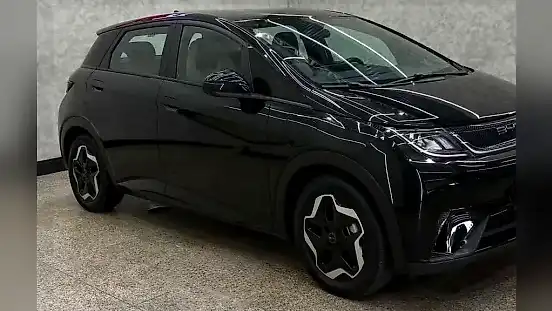 Foto de um byd dolphin