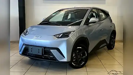 Foto de um byd dolphin