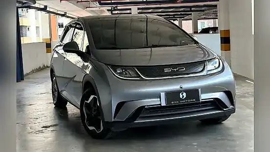 Foto de um byd dolphin
