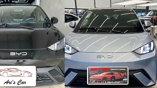 Foto de um byd dolphin mini