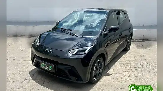 Foto de um byd dolphin