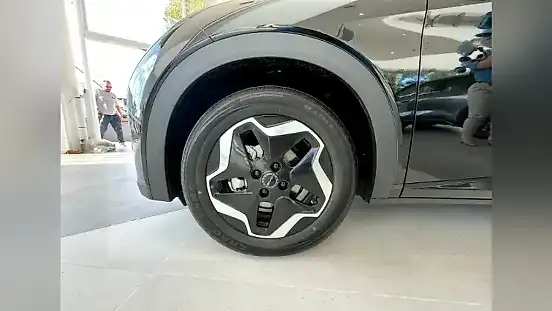 Foto de um byd dolphin