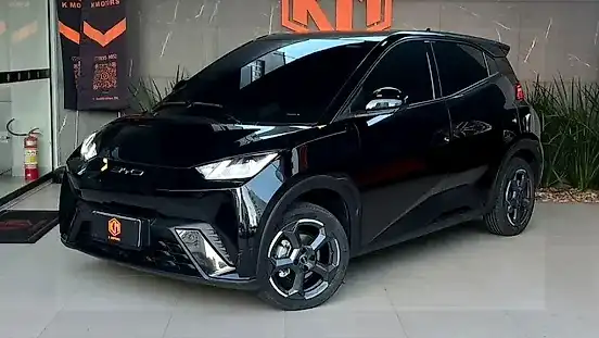 Foto de um byd dolphin mini