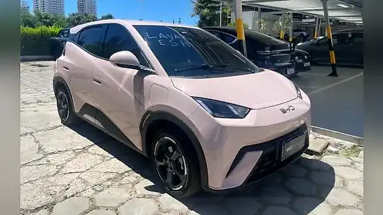 Foto de um byd dolphin mini