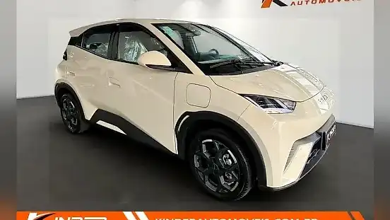 Foto de um byd dolphin mini
