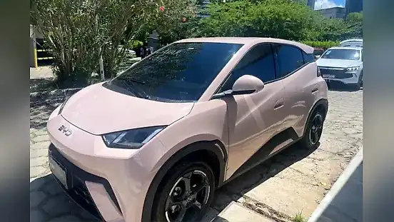 Foto de um byd dolphin mini