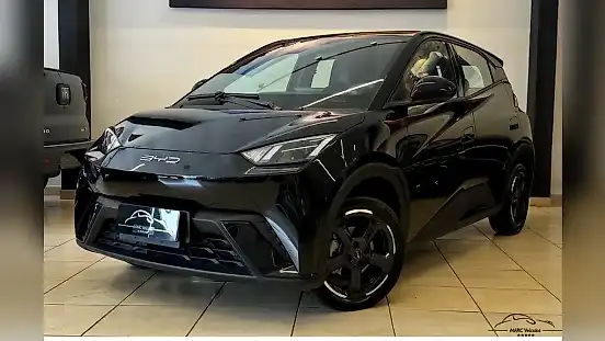 Foto de um byd dolphin