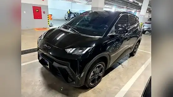 Foto de um byd dolphin mini