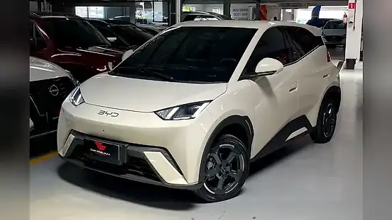 Foto de um byd dolphin mini