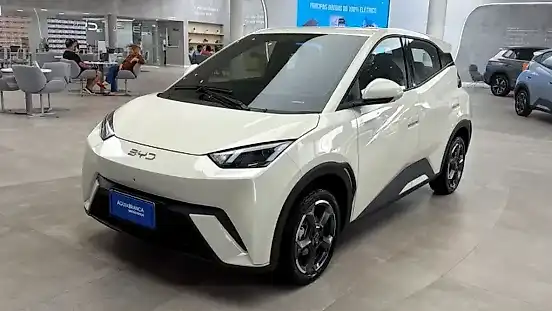 Foto de um byd dolphin mini