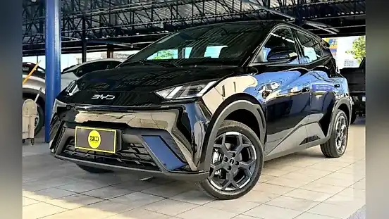 Foto de um byd dolphin mini