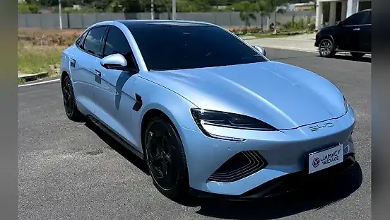 Foto de um byd seal