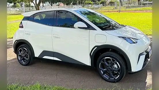Foto de um byd dolphin mini