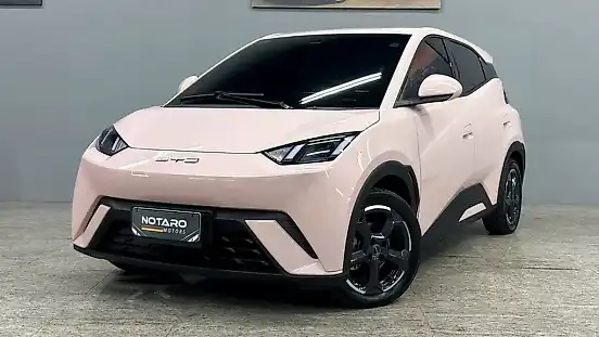 Foto de um byd dolphin mini