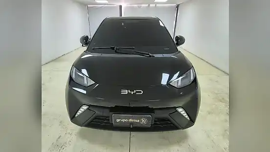 Foto de um byd dolphin mini