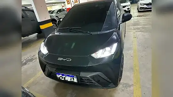 Foto de um byd dolphin mini