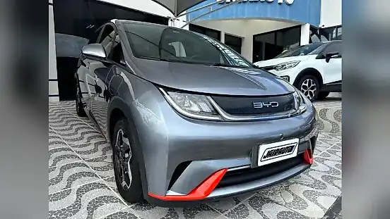 Foto de um byd dolphin