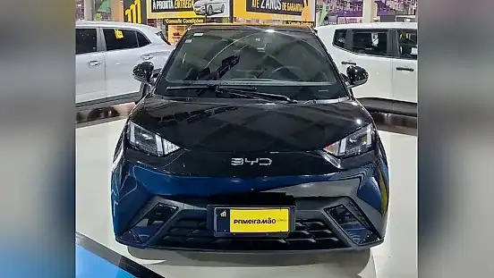 Foto de um byd dolphin mini
