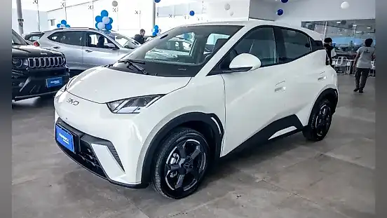 Foto de um byd dolphin mini