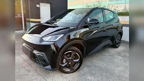 Foto de um byd dolphin mini