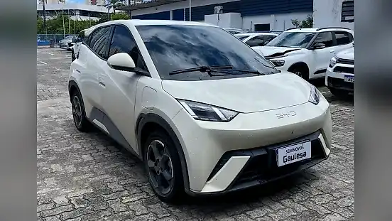 Foto de um byd dolphin mini
