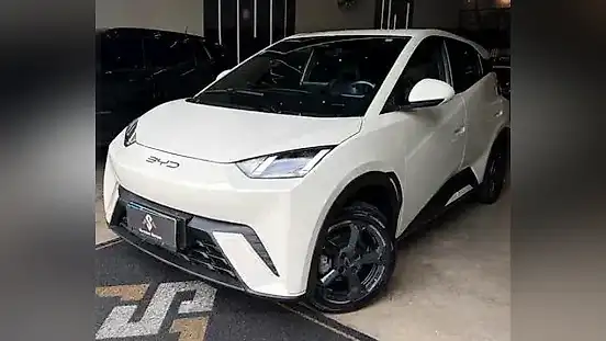 Foto de um byd dolphin mini