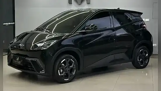 Foto de um byd dolphin mini