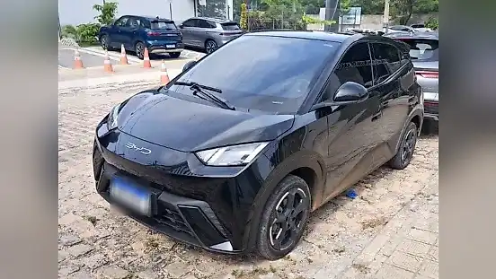 Foto de um byd dolphin mini