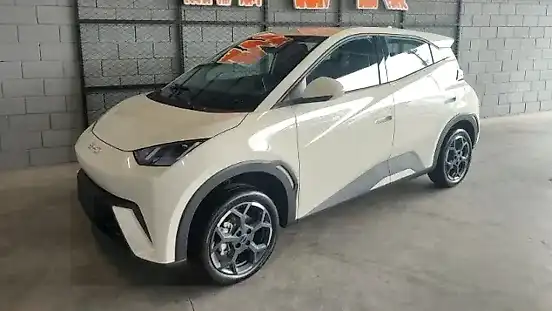 Foto de um byd dolphin mini