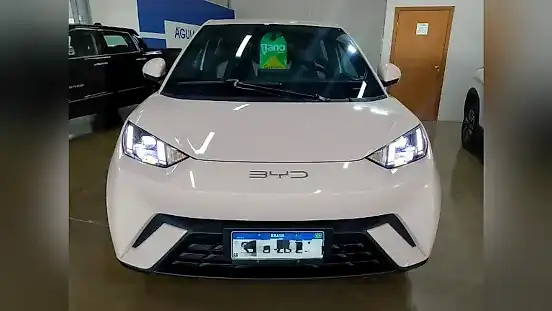 Foto de um byd dolphin mini