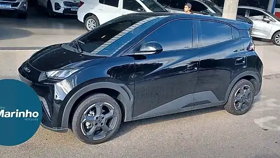 Foto de um byd dolphin mini