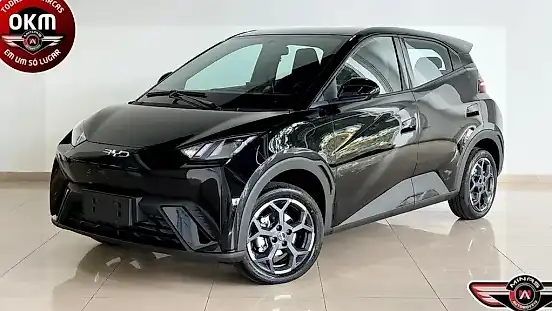 Foto de um byd dolphin mini