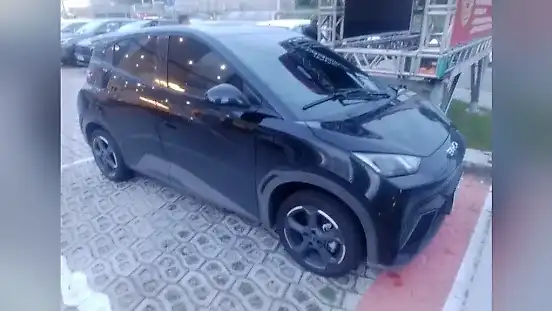 Foto de um byd dolphin mini