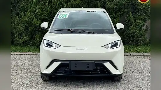 Foto de um byd dolphin