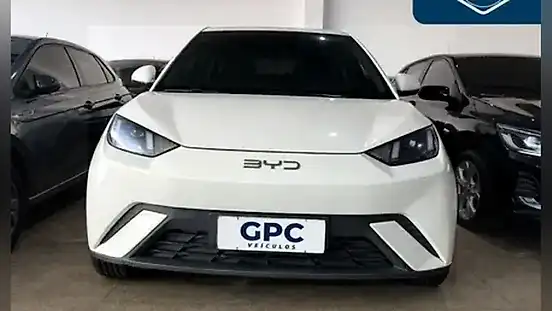 Foto de um byd dolphin