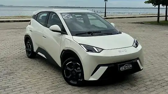 Foto de um byd dolphin mini