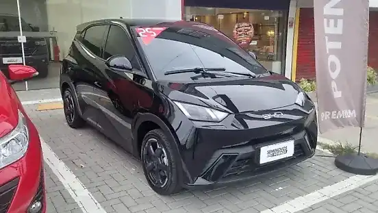 Foto de um byd dolphin mini