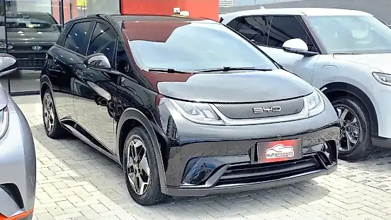 Foto de um byd dolphin