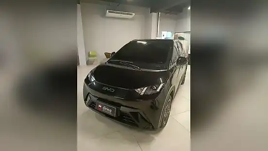 Foto de um byd dolphin mini