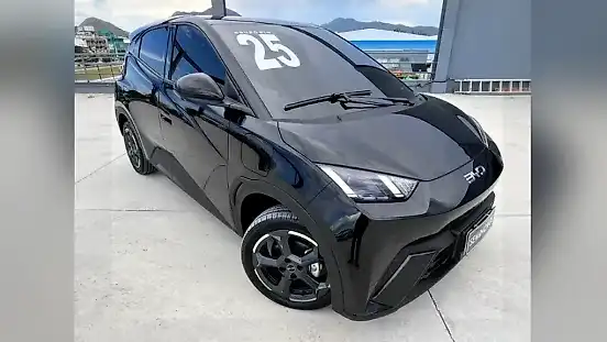 Foto de um byd dolphin mini