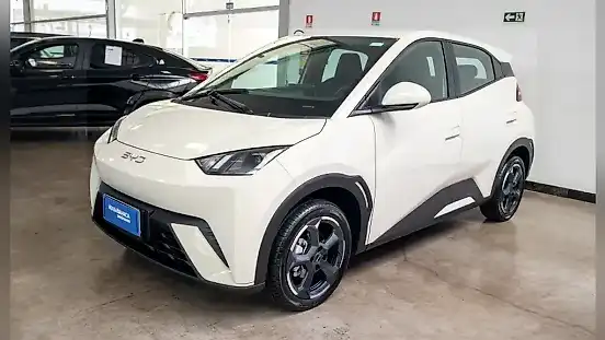 Foto de um byd dolphin mini
