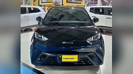 Foto de um byd dolphin mini