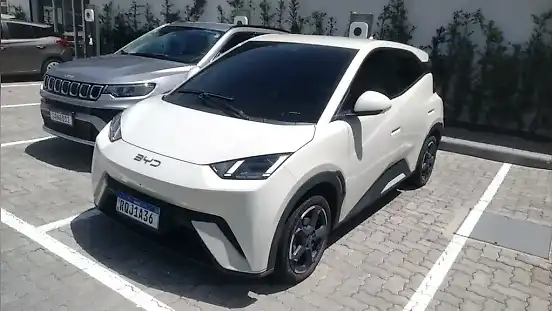 Foto de um byd dolphin mini