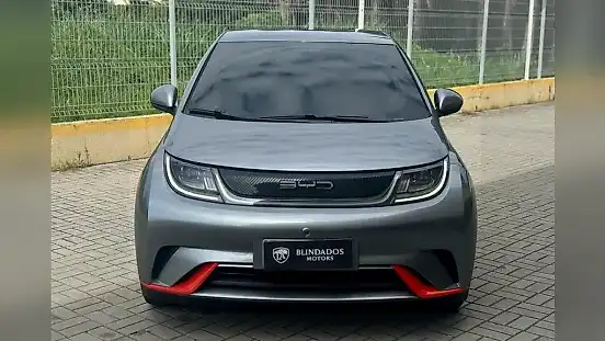 Foto de um byd dolphin
